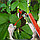 Степлер - подвязчик растений к опоре Tapetool (тапенер) Красный, фото 3