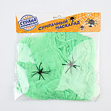 Набор карнавальный "Паутина и 2 паука", зеленый, фото 2