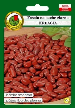 Фасоль зерновая Креация (Kreacja), Польша
