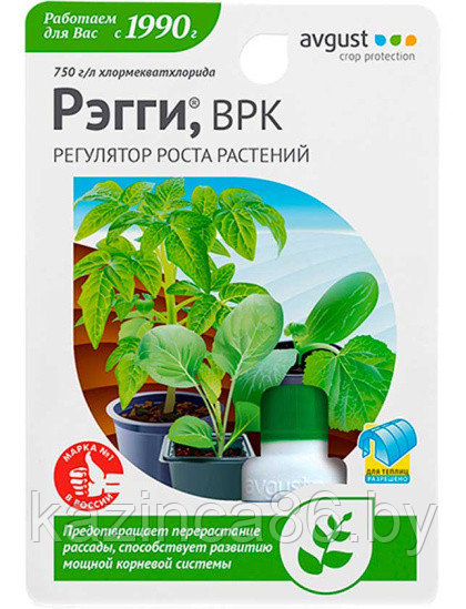 РЭГГИ Регулятор роста растений, 10 мл - фото 1 - id-p199831566