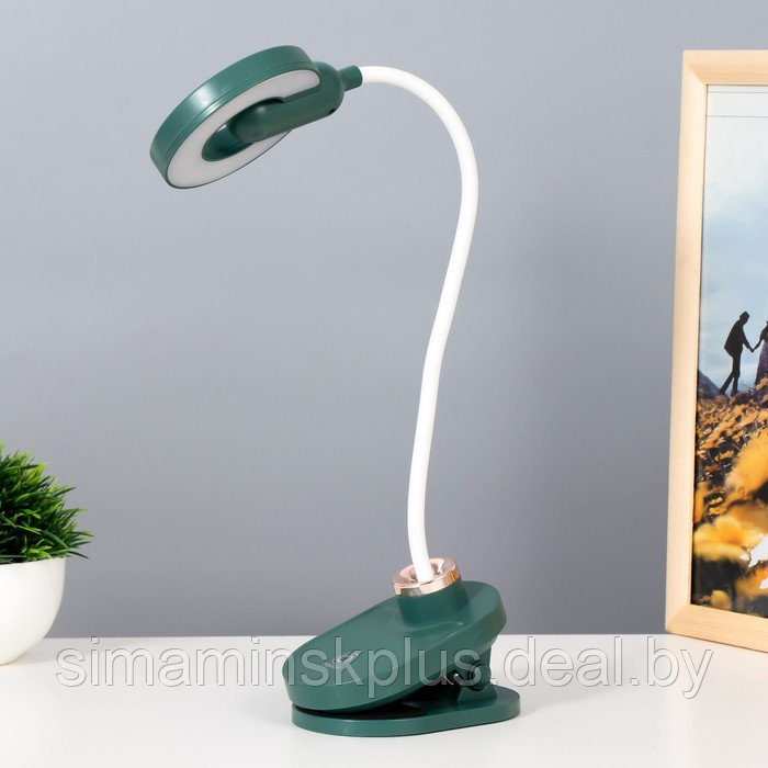 Настольная лампа на прищепке "Блум" LED 3Вт АКБ USB зеленый 8х12х42,5 см - фото 1 - id-p199848935