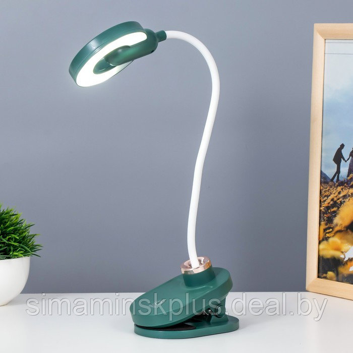 Настольная лампа на прищепке "Блум" LED 3Вт АКБ USB зеленый 8х12х42,5 см - фото 2 - id-p199848935
