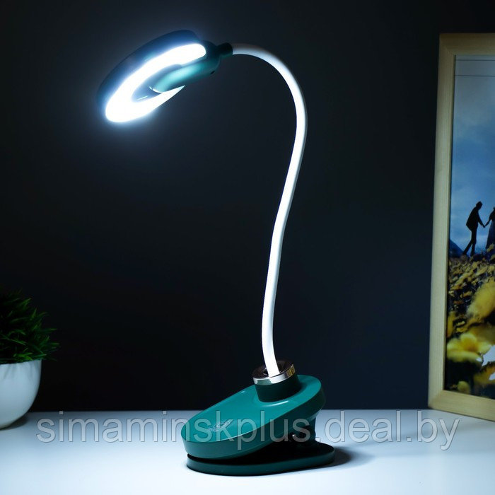 Настольная лампа на прищепке "Блум" LED 3Вт АКБ USB зеленый 8х12х42,5 см - фото 3 - id-p199848935