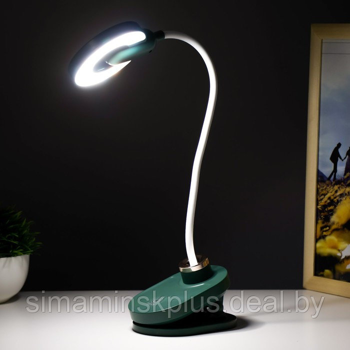 Настольная лампа на прищепке "Блум" LED 3Вт АКБ USB зеленый 8х12х42,5 см - фото 4 - id-p199848935