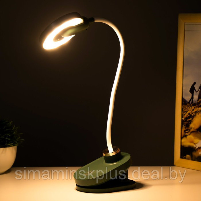Настольная лампа на прищепке "Блум" LED 3Вт АКБ USB зеленый 8х12х42,5 см - фото 5 - id-p199848935