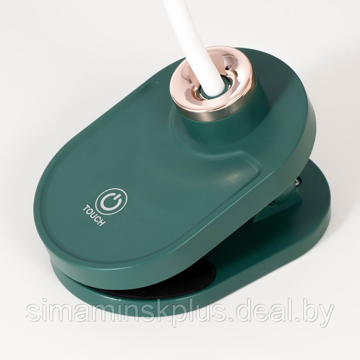 Настольная лампа на прищепке "Блум" LED 3Вт АКБ USB зеленый 8х12х42,5 см - фото 7 - id-p199848935