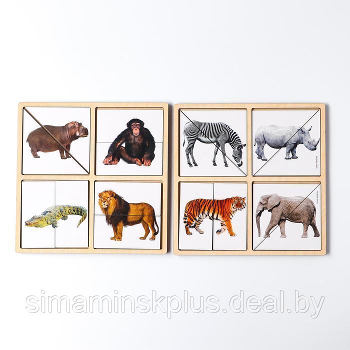 Картинки-половинки «Животные Африки» - фото 1 - id-p199851149