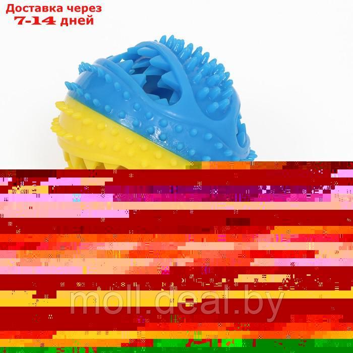 Шар под лакомства рельефный, TPR, 7 см, жёлто-голубой - фото 3 - id-p199814037