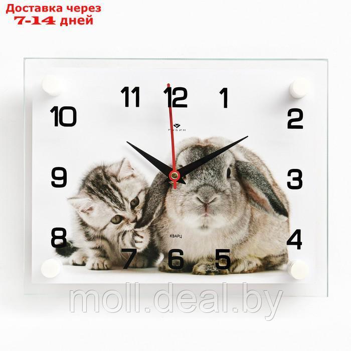 Часы настенные, серия: Интерьер, "Заяц и кот", 20 х 26 см - фото 1 - id-p199804676