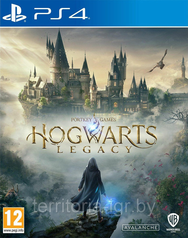 Hogwarts Legacy / Хогвартс: Наследие (Русские субтитры) PS4 - фото 1 - id-p199869401