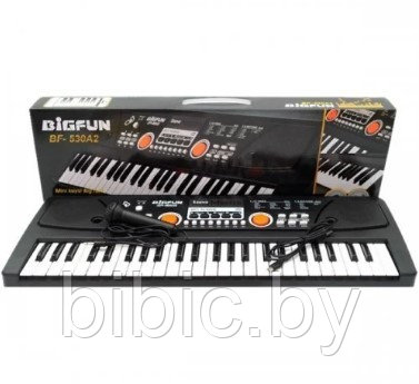Детский синтезатор пианино 530A2 MP3 USB с микрофоном, детское пианино музыкальный инструмент для детей - фото 2 - id-p129653515