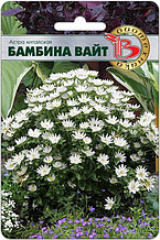 Астра китайская Бамбина Вайт