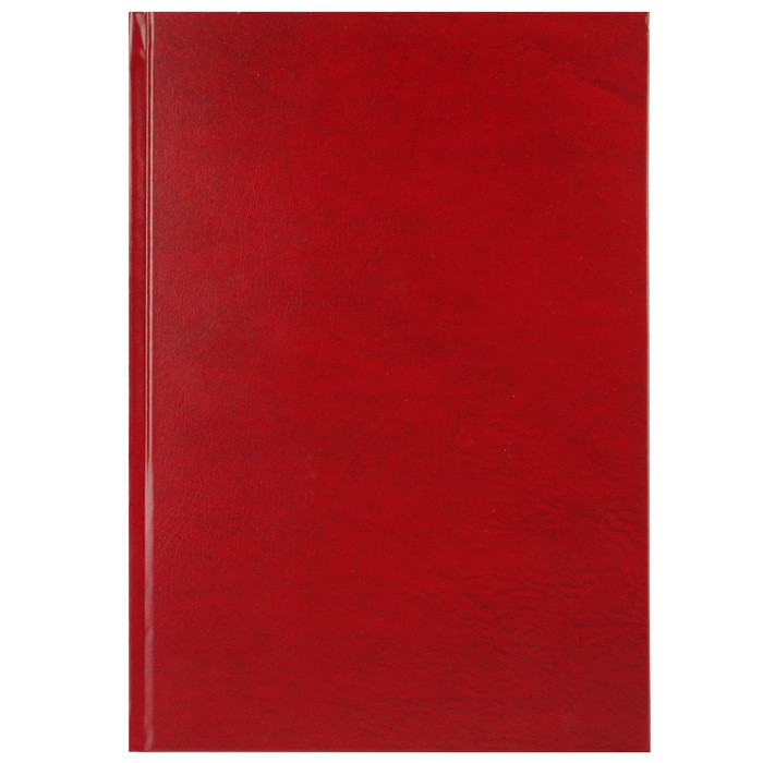 Ежедневник А5 недатированный, обложка кожзам красный, 168 листов