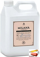 Мыло жидкое Milana Professional Молоко и мёд, 5 литров, арт.125646