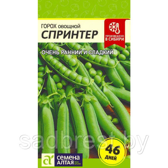 Семена Горох овощной Спринтер (10 гр) Семена Алтая