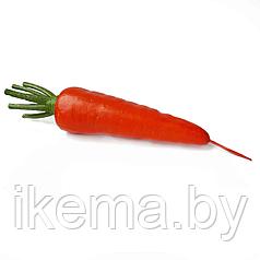 Муляж морковь 21*4,5 см. (SML-12-24)
