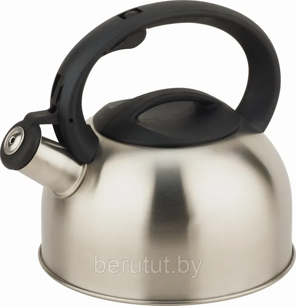 Чайник со свистком из нержавеющей стали 2.7 л Bekker - фото 1 - id-p200120969