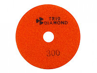 Алмазный гибкий шлифкруг "Черепашка" 100 № 300 (мокрая шл.) (Trio-Diamond)