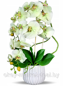 Цветочная композиция из орхидей в горшке E005