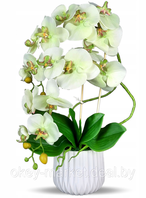 Цветочная композиция из орхидей в горшке E005 - фото 1 - id-p144990331