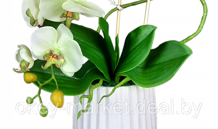 Цветочная композиция из орхидей в горшке E005, фото 2
