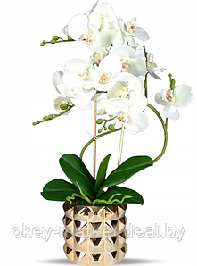 Цветочная композиция из орхидей в горшке B013