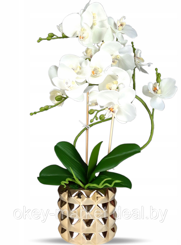 Цветочная композиция из орхидей в горшке B013, фото 2