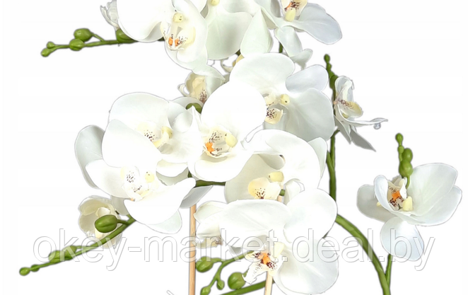 Цветочная композиция из орхидей в горшке B013, фото 2