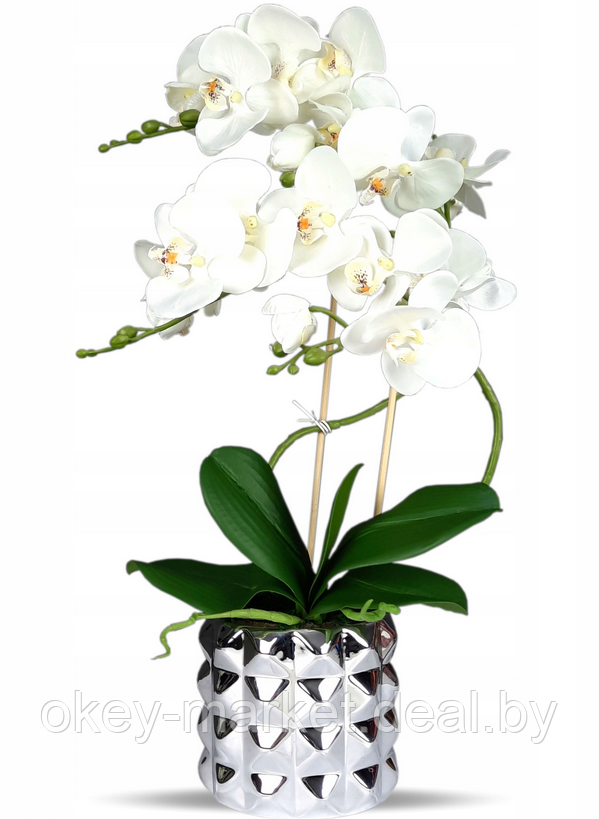 Цветочная композиция из орхидей в горшке B012 - фото 1 - id-p63037006