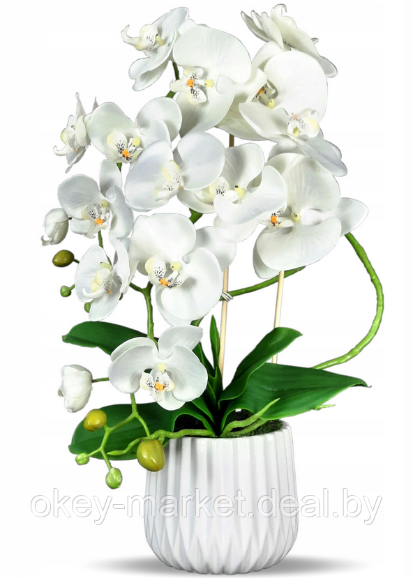 Цветочная композиция из орхидей в горшке B005, фото 2
