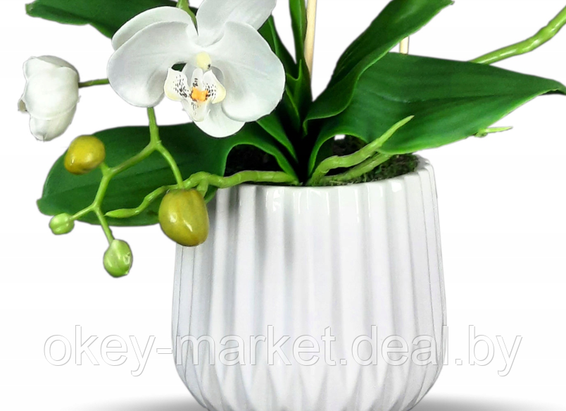 Цветочная композиция из орхидей в горшке B005, фото 2