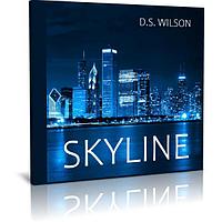 D.S. Wilson - Skyline (2023) (Audio CD)