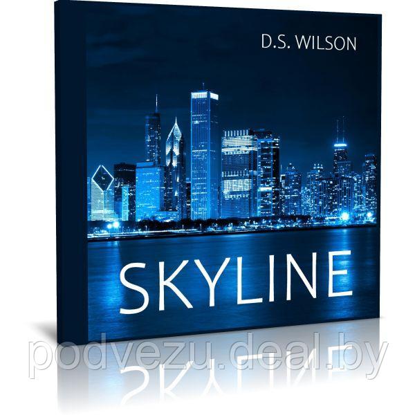 D.S. Wilson - Skyline (2023) (Audio CD) - фото 1 - id-p200077144