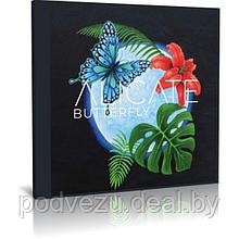 Alicate - Butterfly (2022) (Audio CD)