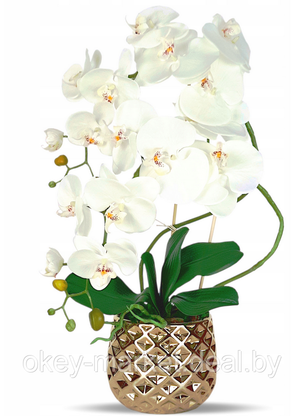 Цветочная композиция из орхидей в горшке B063