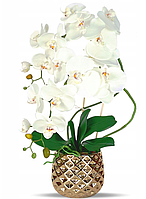 Цветочная композиция из орхидей в горшке B063