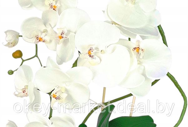 Цветочная композиция из орхидей в горшке B063, фото 2