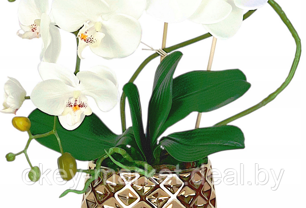 Цветочная композиция из орхидей в горшке B063, фото 2