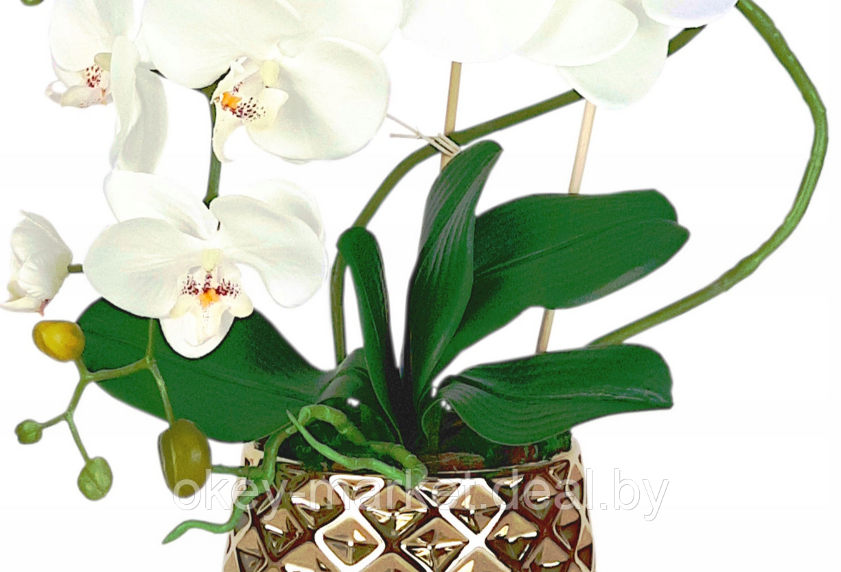 Цветочная композиция из орхидей в горшке B063 - фото 4 - id-p71910244