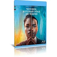 Человек, который упал на Землю (10 серий) (2022) (BLU-RAY Видео сериал)