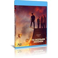 По волчьим законам 6 сезон (13 серий) (2022) (BLU-RAY Видео сериал)