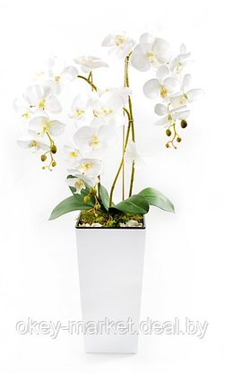Цветочная композиция из орхидей Sweet Home 90 см, фото 2