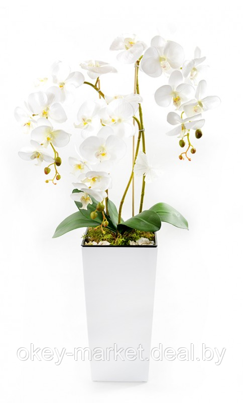 Цветочная композиция из орхидей Sweet Home 90 см - фото 4 - id-p200156756