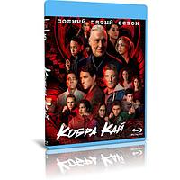 Кобра Кай 5 сезон (10 серий) (2022) (BLU-RAY Видео сериал)