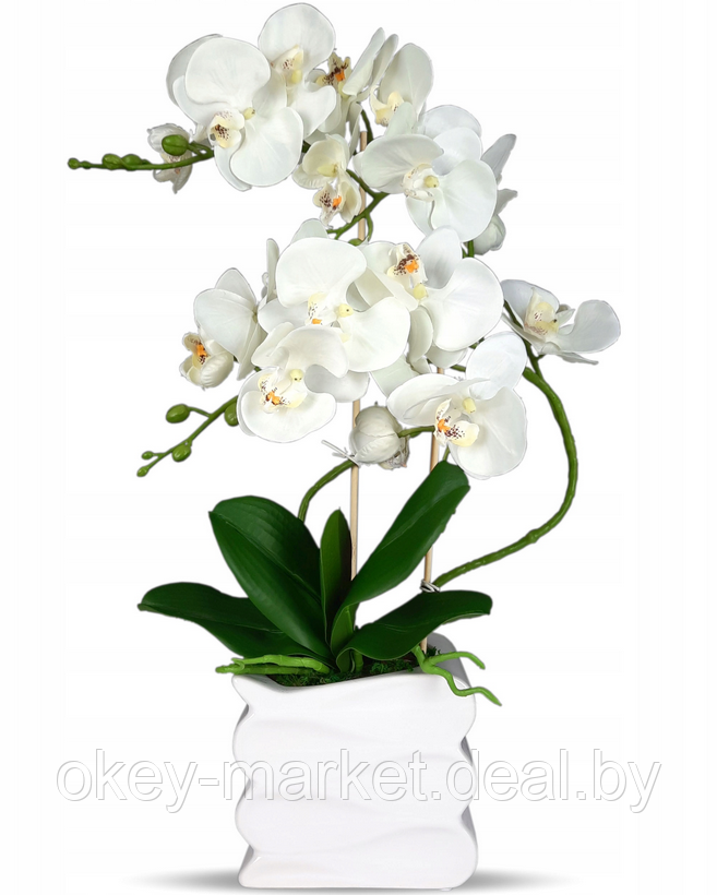 Цветочная композиция из орхидей в горшке B033