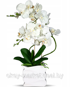 Цветочная композиция из орхидей в горшке B033