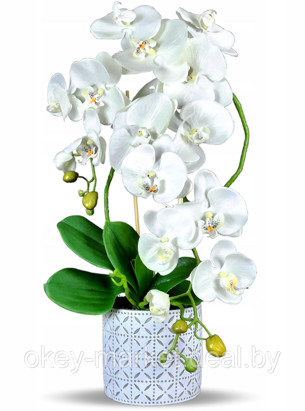 Цветочная композиция из орхидей в горшке B083, фото 2