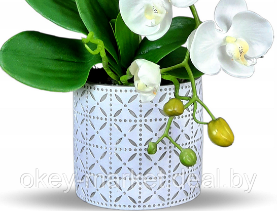 Цветочная композиция из орхидей в горшке B083, фото 2