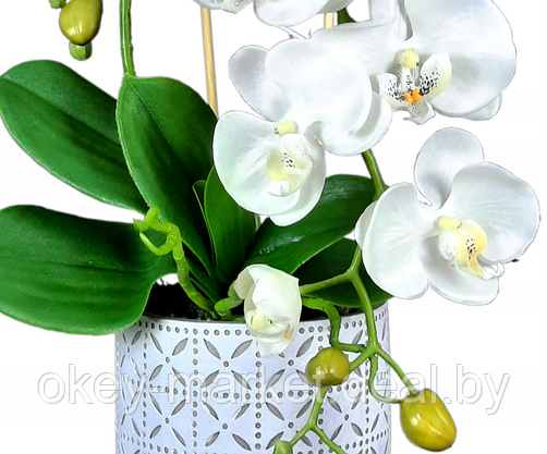 Цветочная композиция из орхидей в горшке B083, фото 3