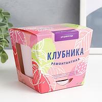 Набор для выращивания растений «Клубника»